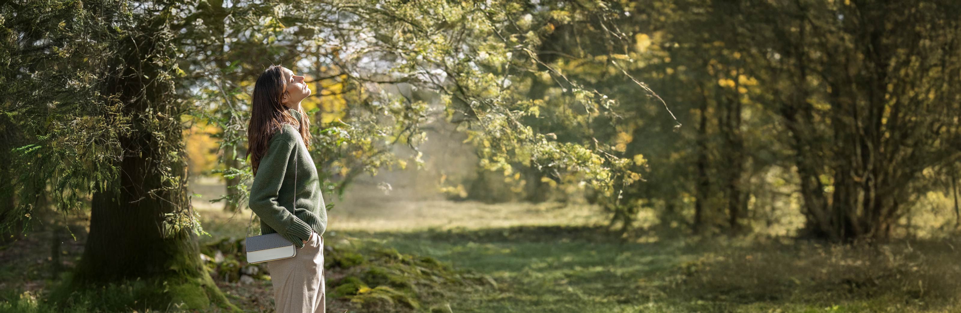 Swiss Design Stories